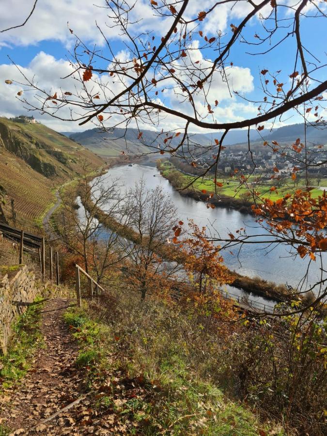 Ferienhaus Kaliva Zell an der Mosel Ngoại thất bức ảnh